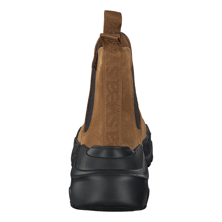 Evil Boot Camel