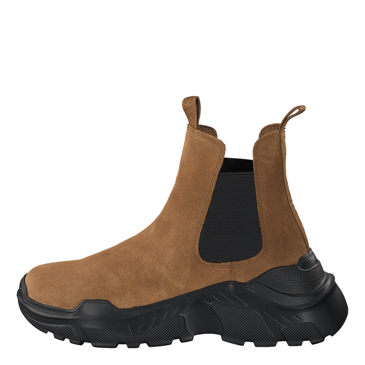 Evil Boot Camel