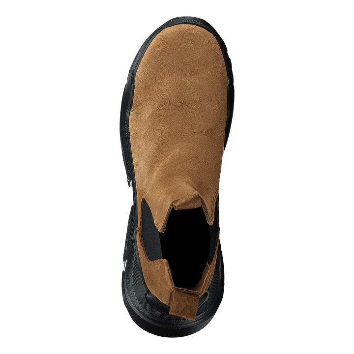 Evil Boot Camel