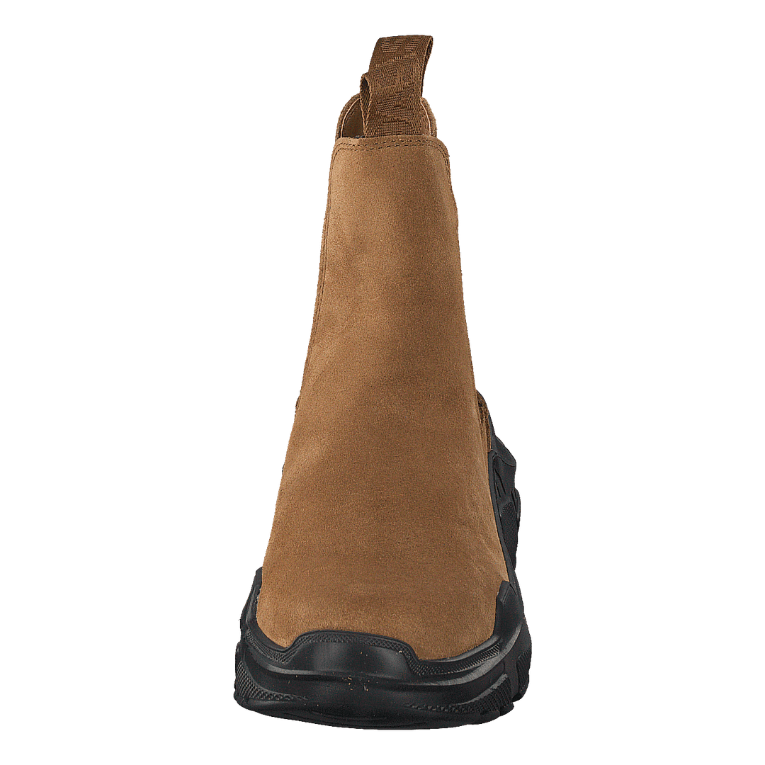 Evil Boot Camel