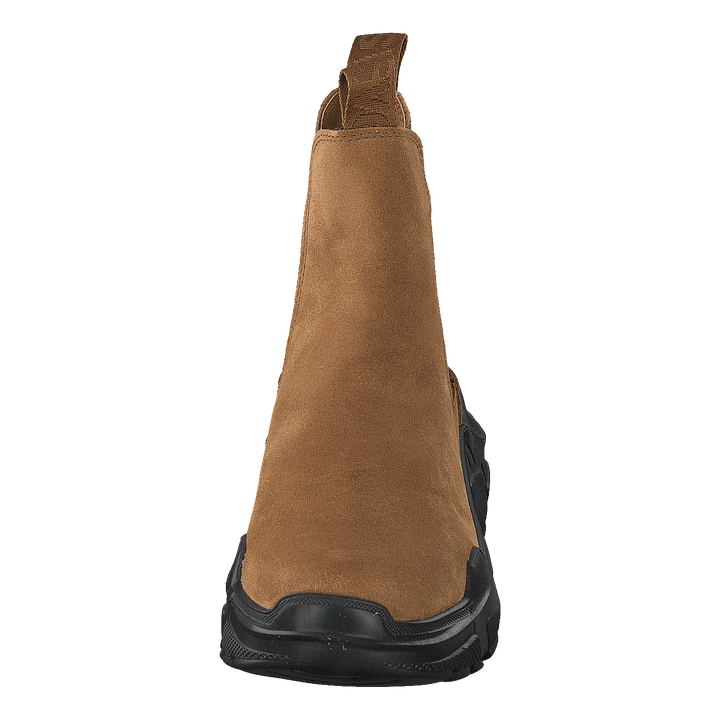 Evil Boot Camel