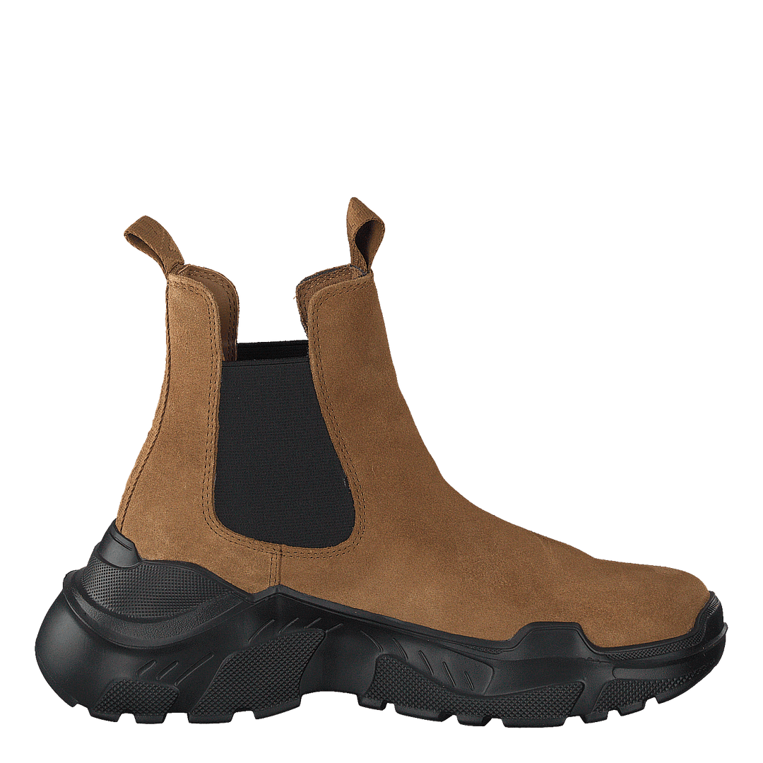 Evil Boot Camel