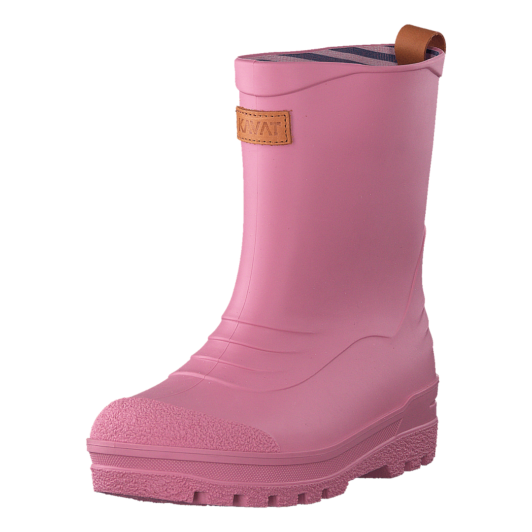Grytgöl WP Strawberry Rose