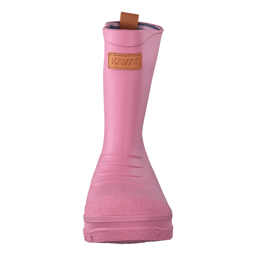 Grytgöl WP Strawberry Rose