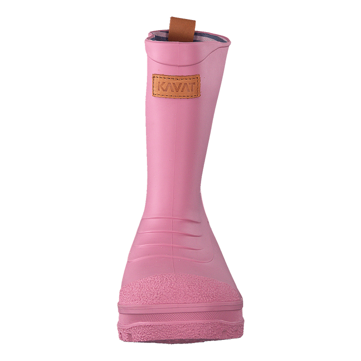Grytgöl WP Strawberry Rose