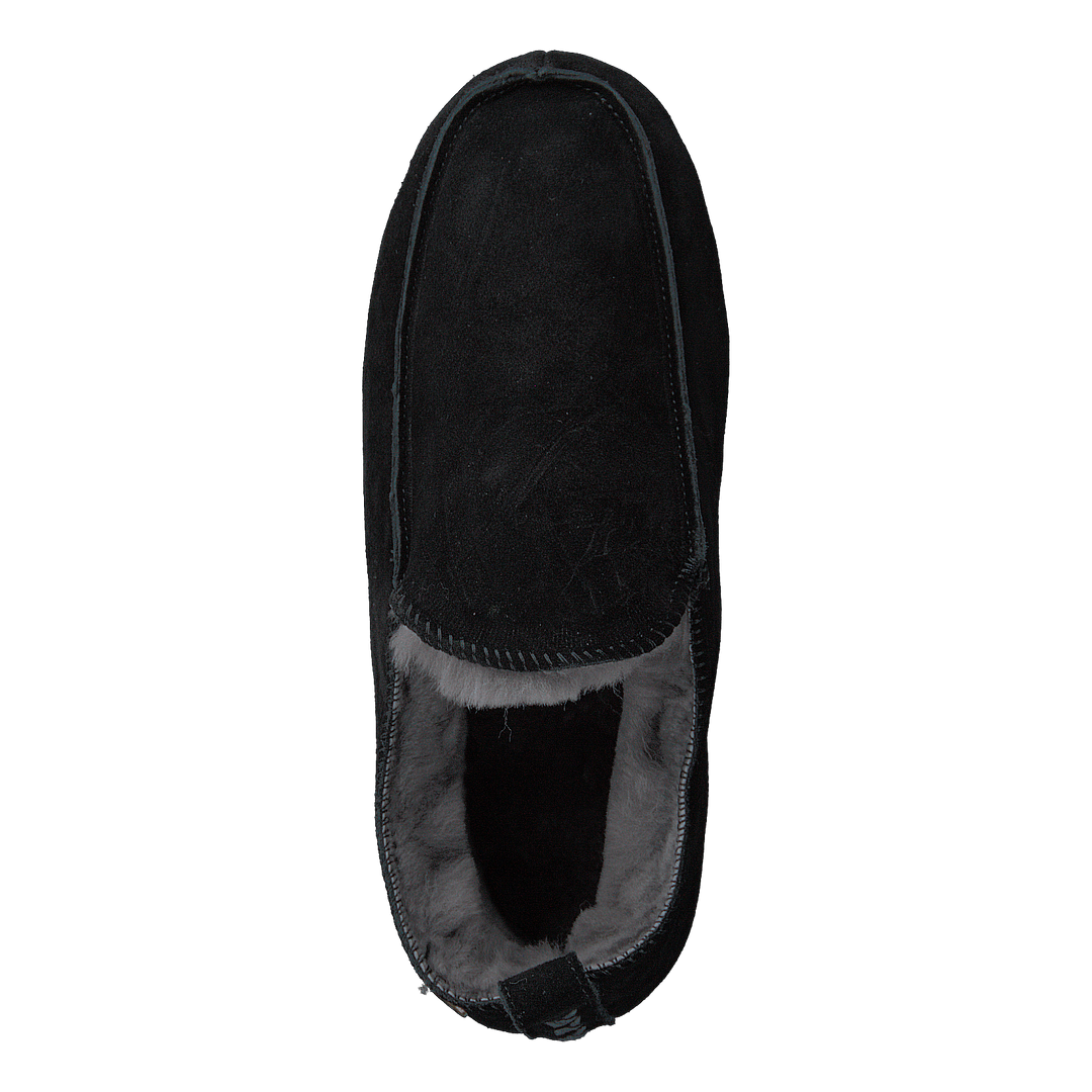 Edinburgh Black/asphalt