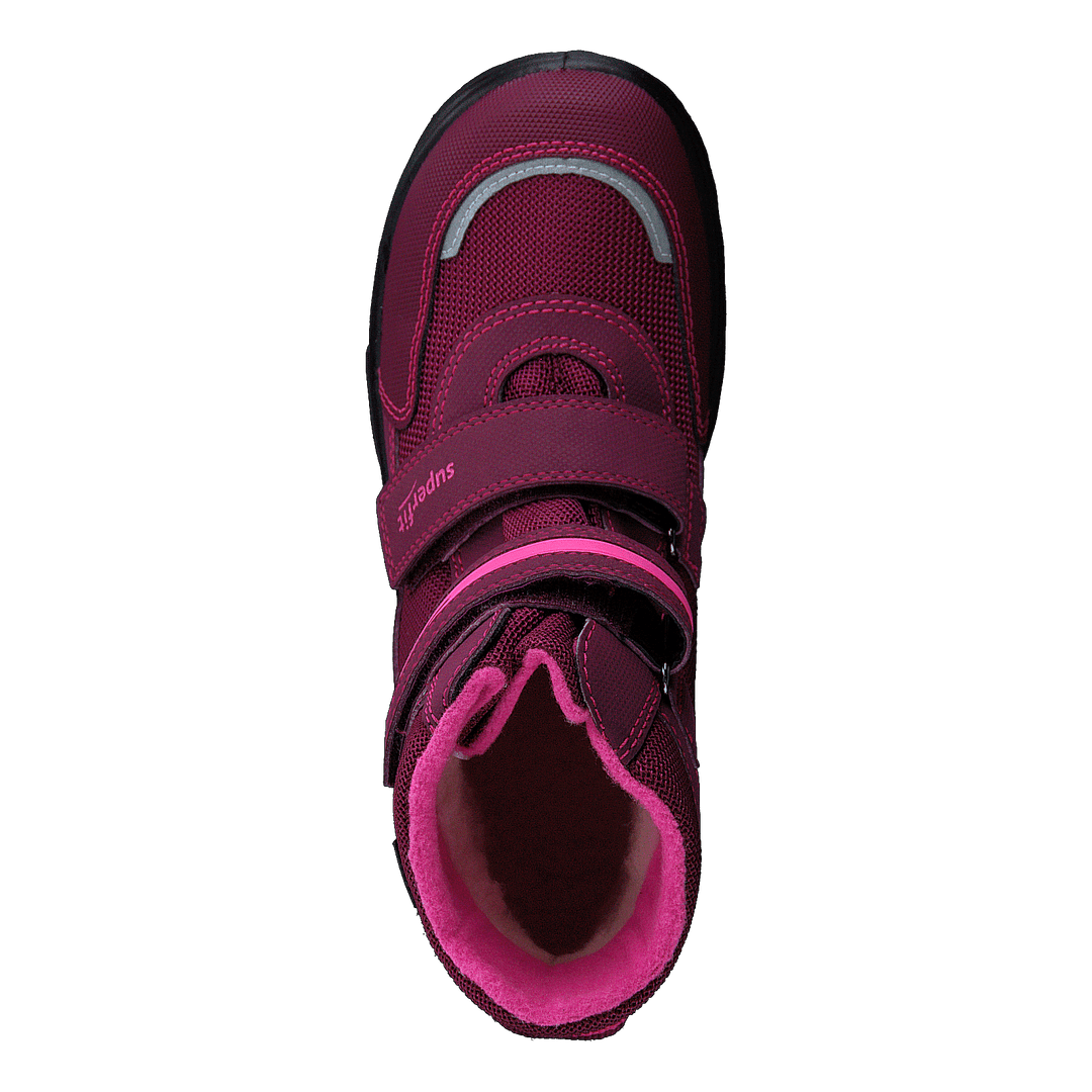Snowcat Pink