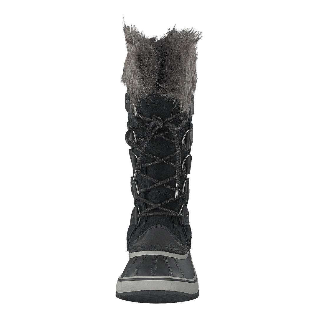 Joan Of Artic Black Quarry