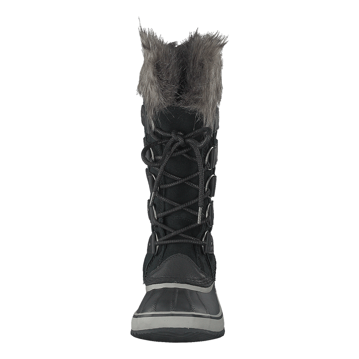 Joan Of Artic Black Quarry
