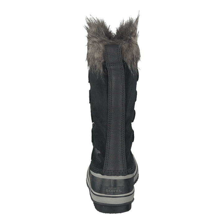Joan Of Artic Black Quarry