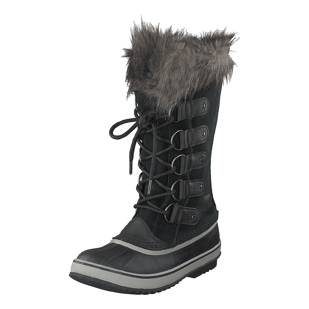 Joan Of Artic Black Quarry