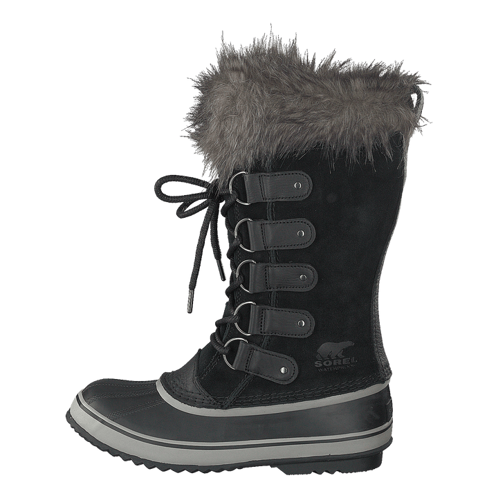 Joan Of Artic Black Quarry