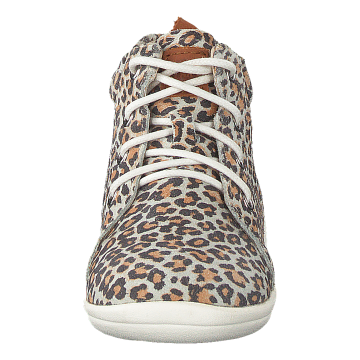 Gram Leopard