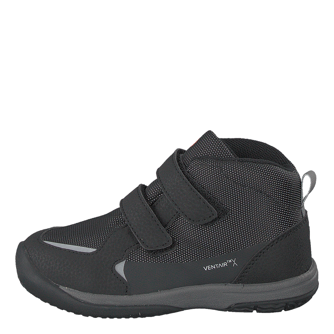 Lepus Black