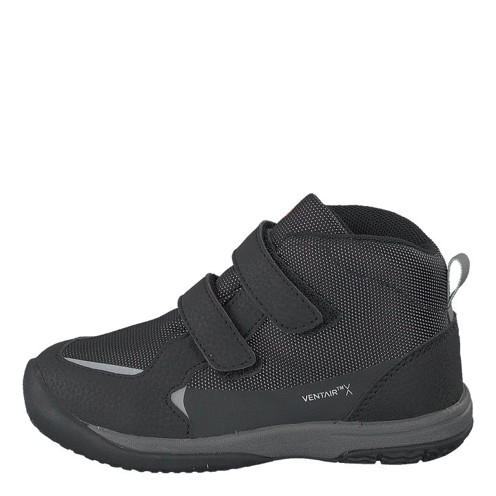 Lepus Black
