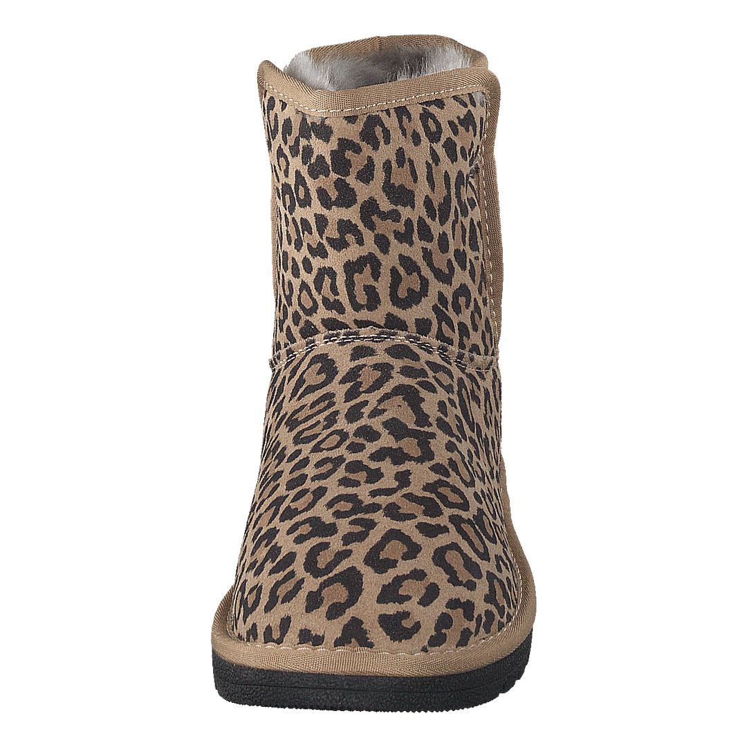 71-17001 Brown/multi