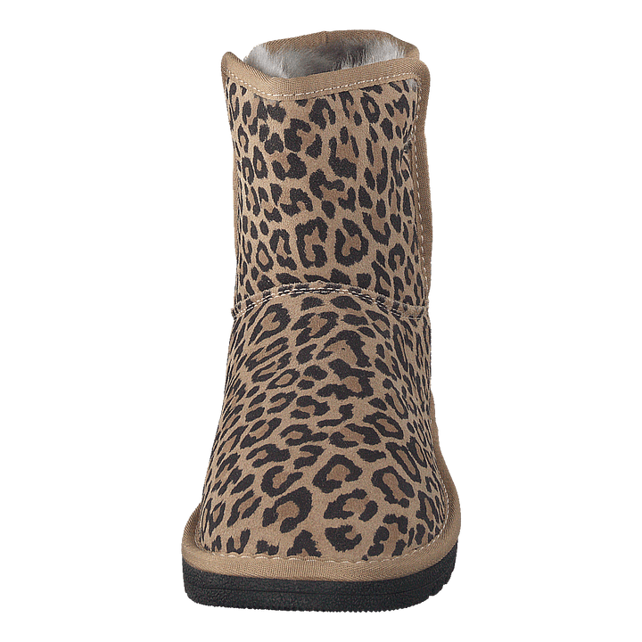 71-17001 Brown/multi