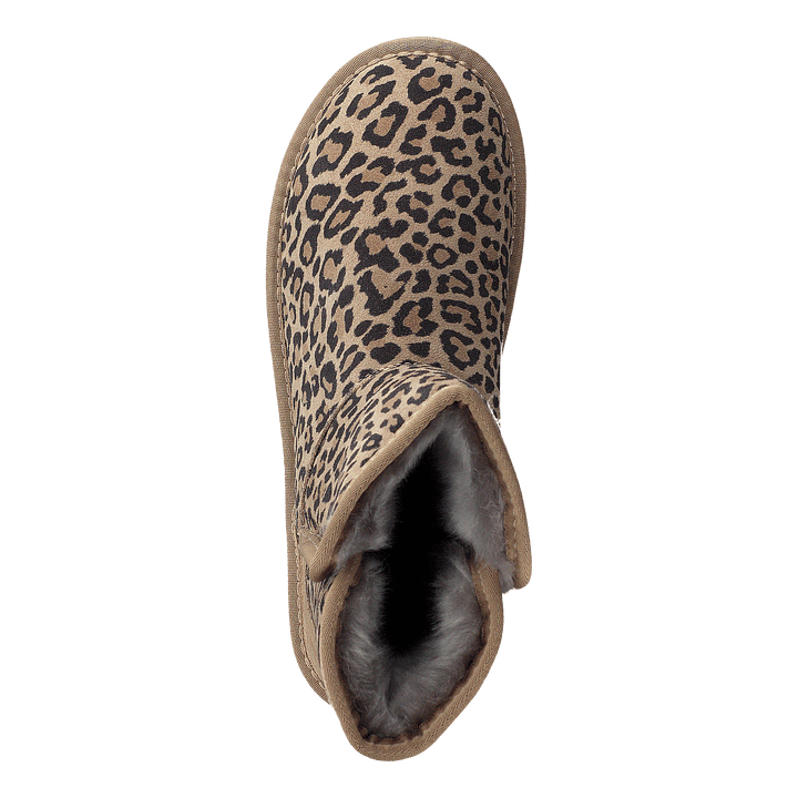 71-17001 Brown/multi