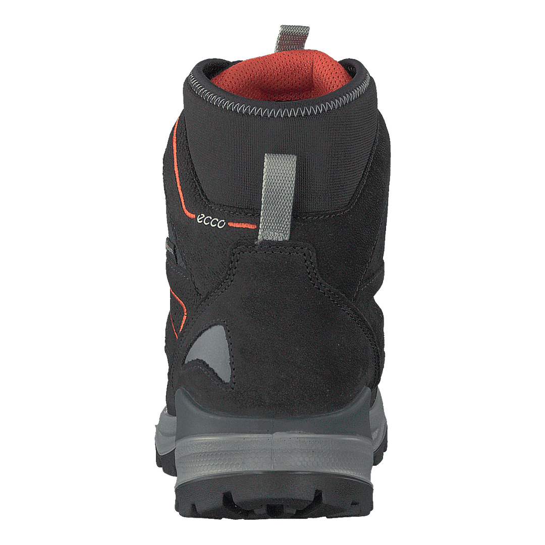 Snow Mountain Black