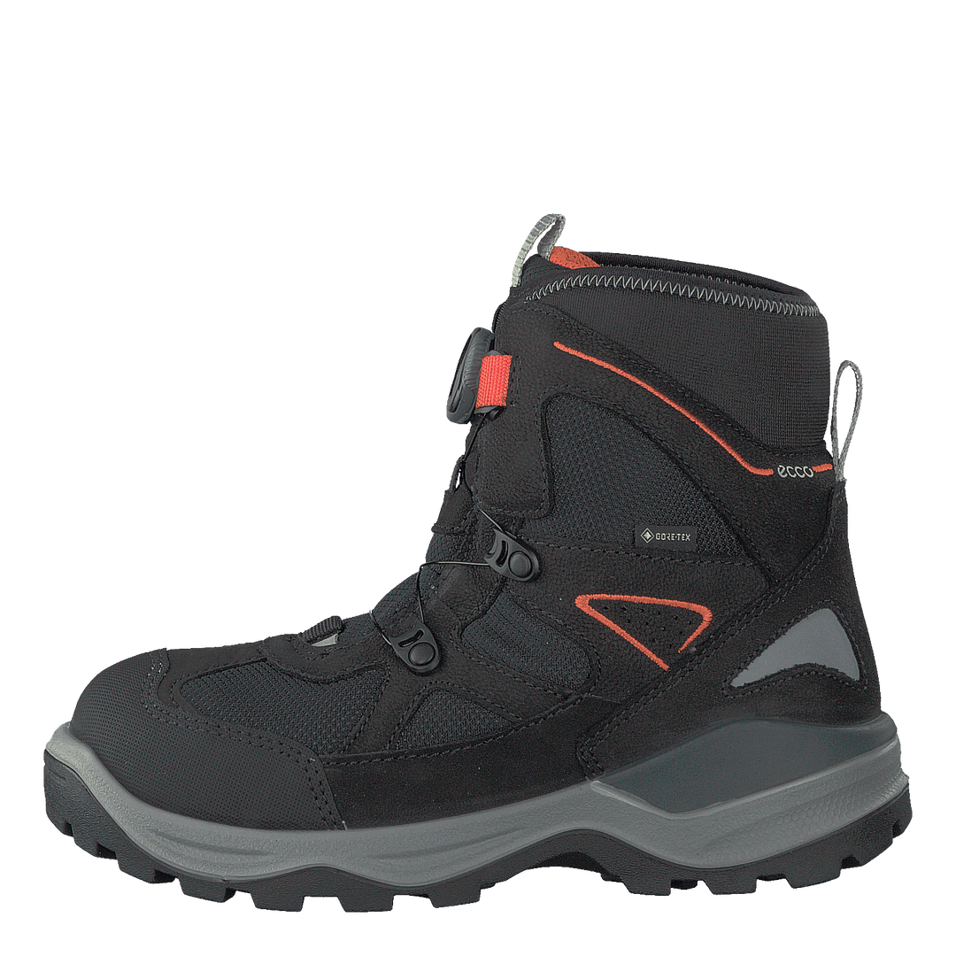 Snow Mountain Black