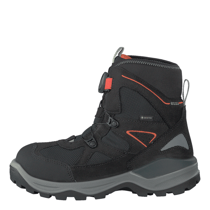 Snow Mountain Black