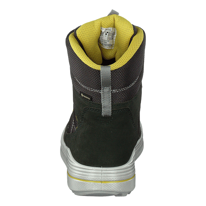 Urban Snowboarder Deep Forest