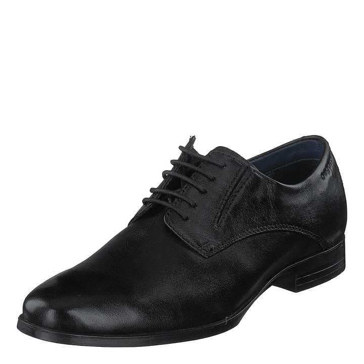 Zenobio Black