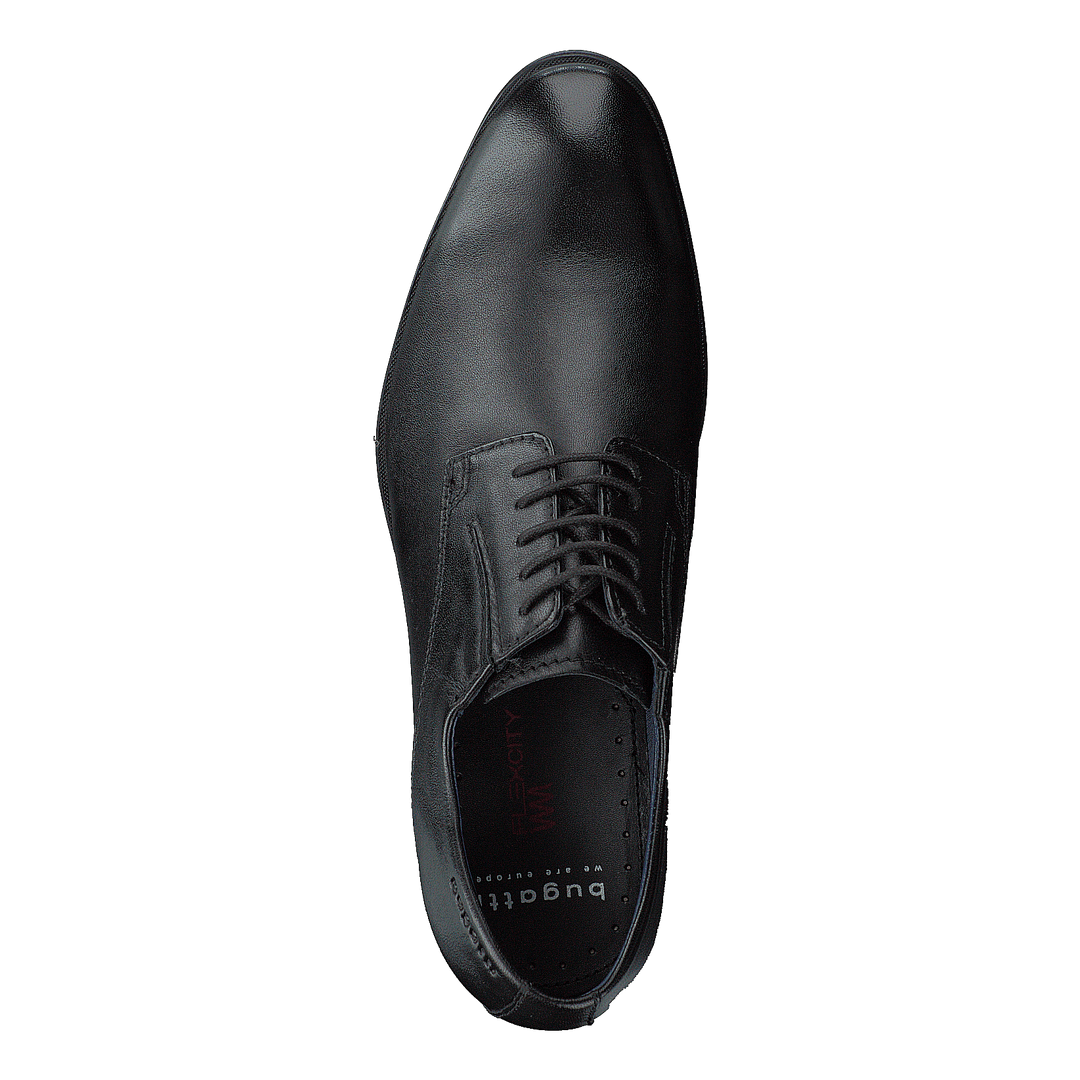 Zenobio Black