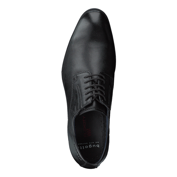 Zenobio Black