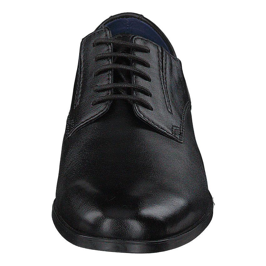 Zenobio Black