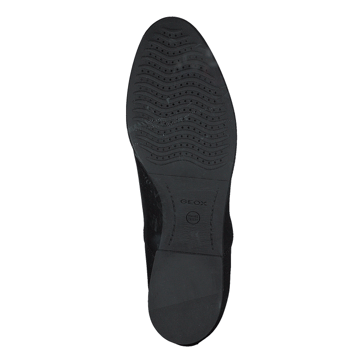 D Felicity Np Abx Black