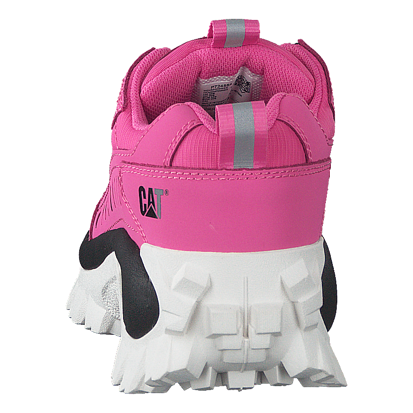 Intruder Azelea Pink
