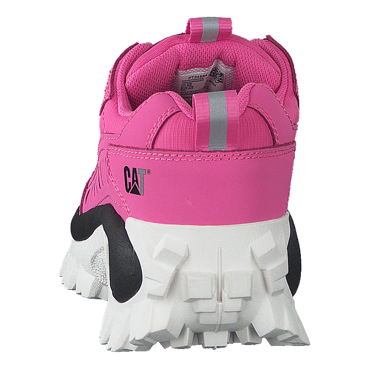 Intruder Azelea Pink