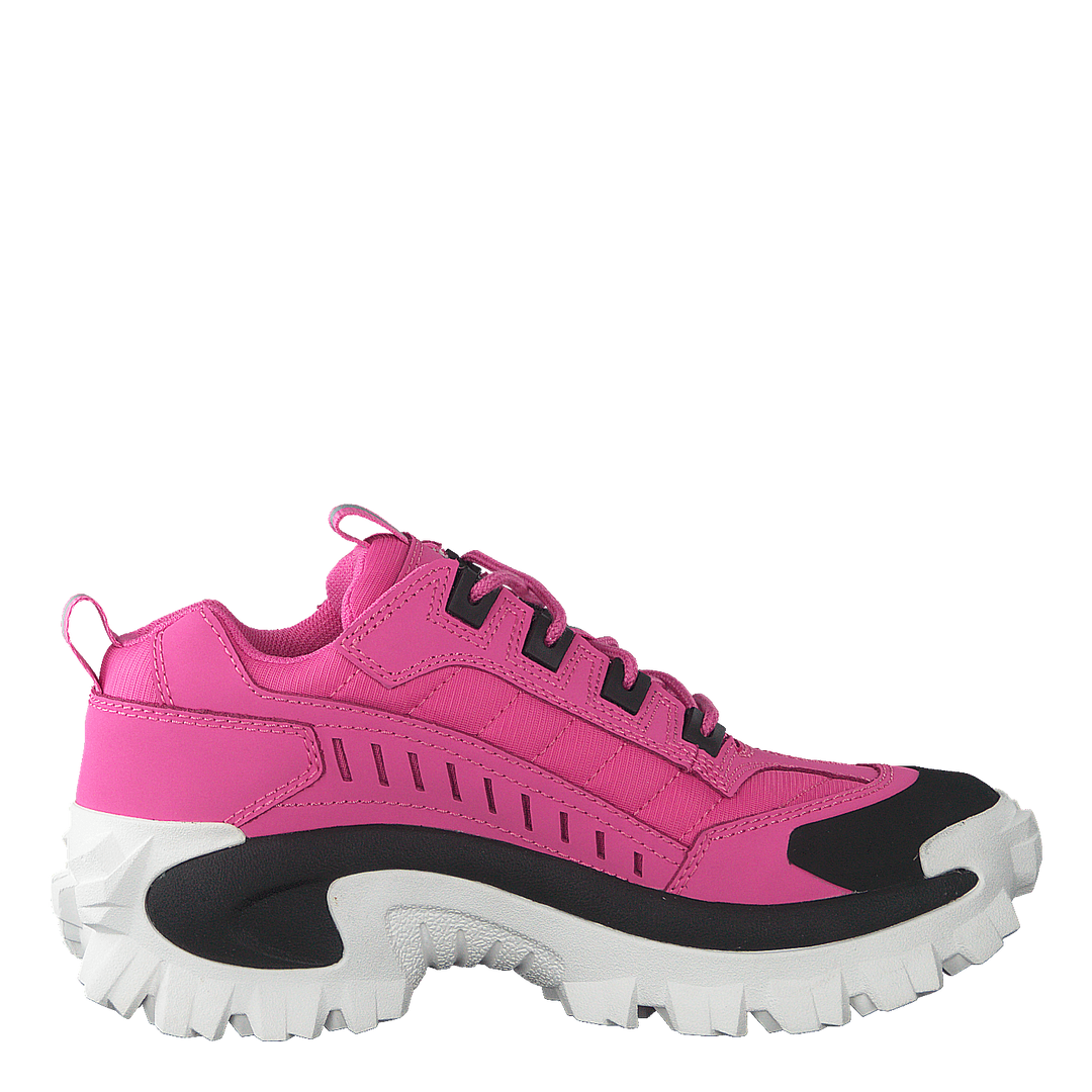 Intruder Azelea Pink