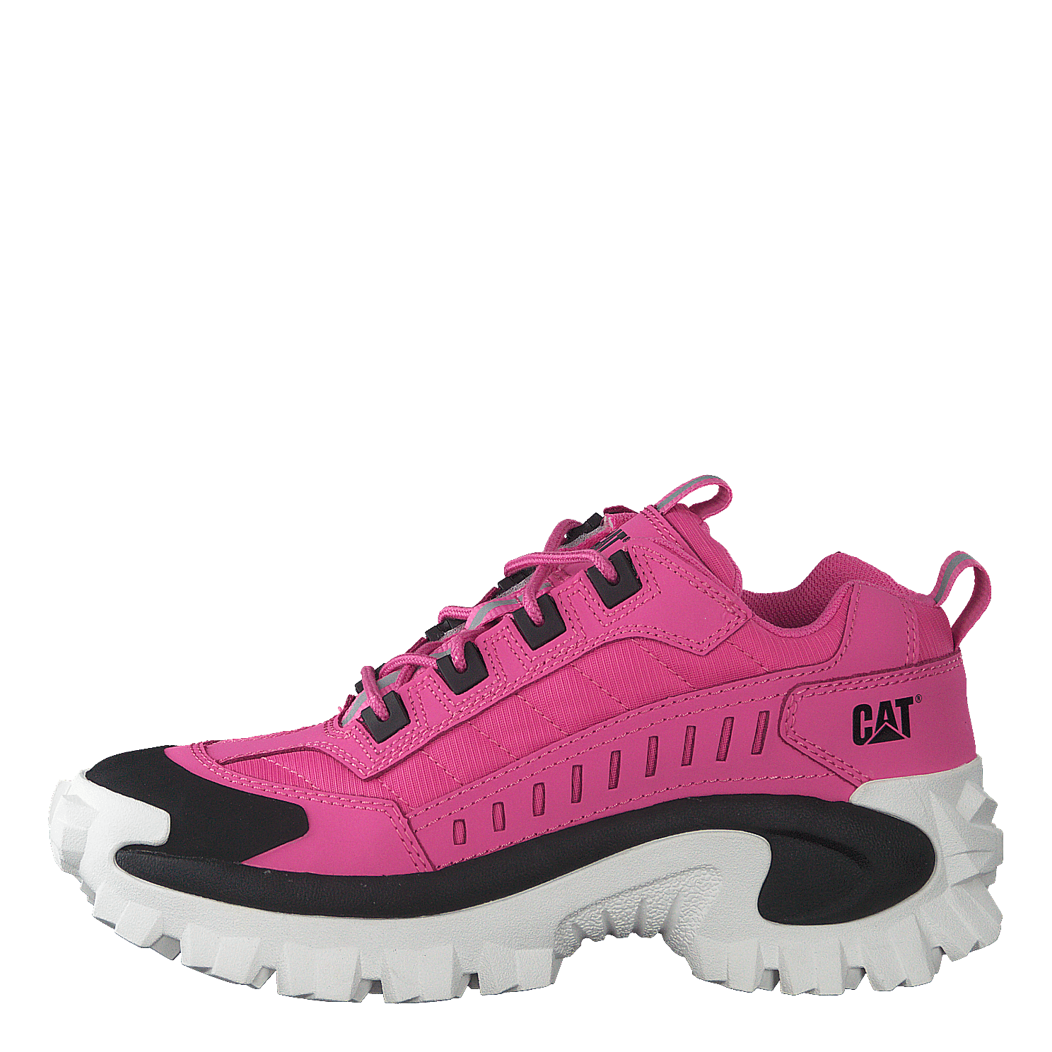 Cat top sneakers intruder