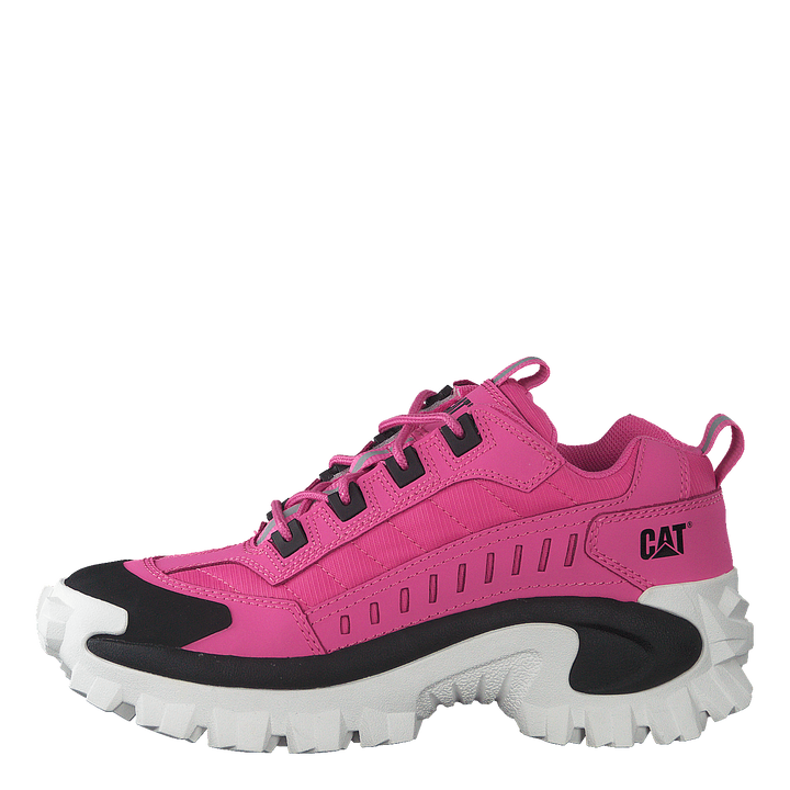Intruder Azelea Pink