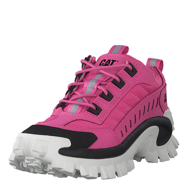 Intruder Azelea Pink