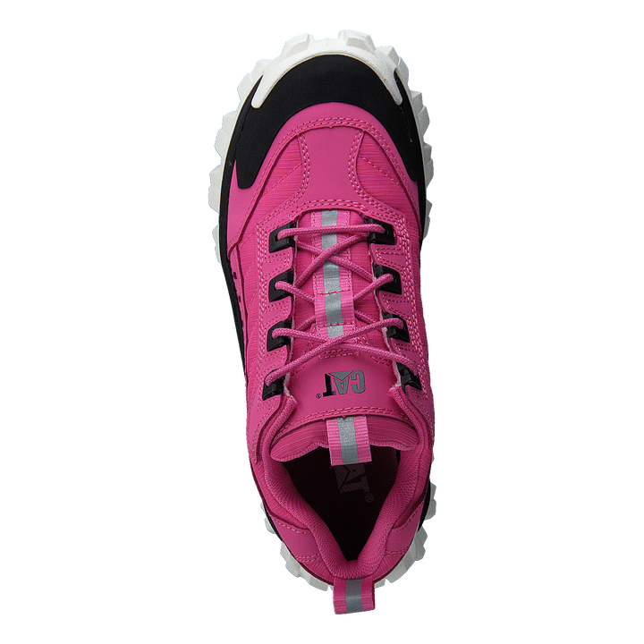 Intruder Azelea Pink