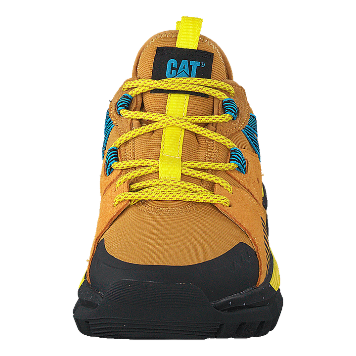 Raider Sport Spruce Yellow/cadmium Yellow