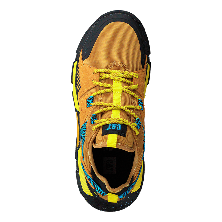 Raider Sport Spruce Yellow/cadmium Yellow