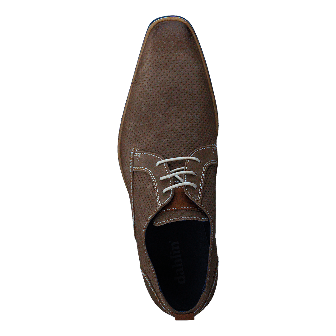 Havanna Brown