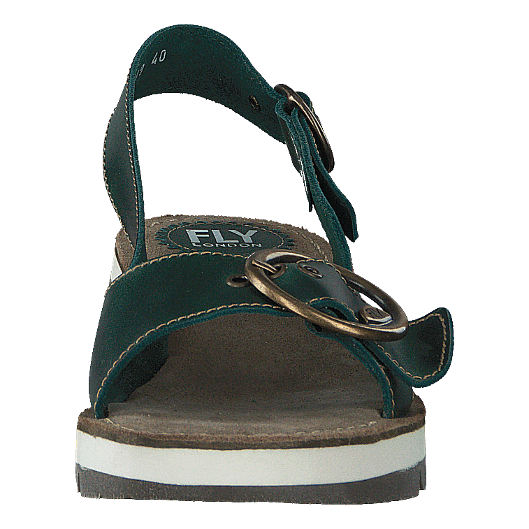 Tram 2 Bridle-petrol