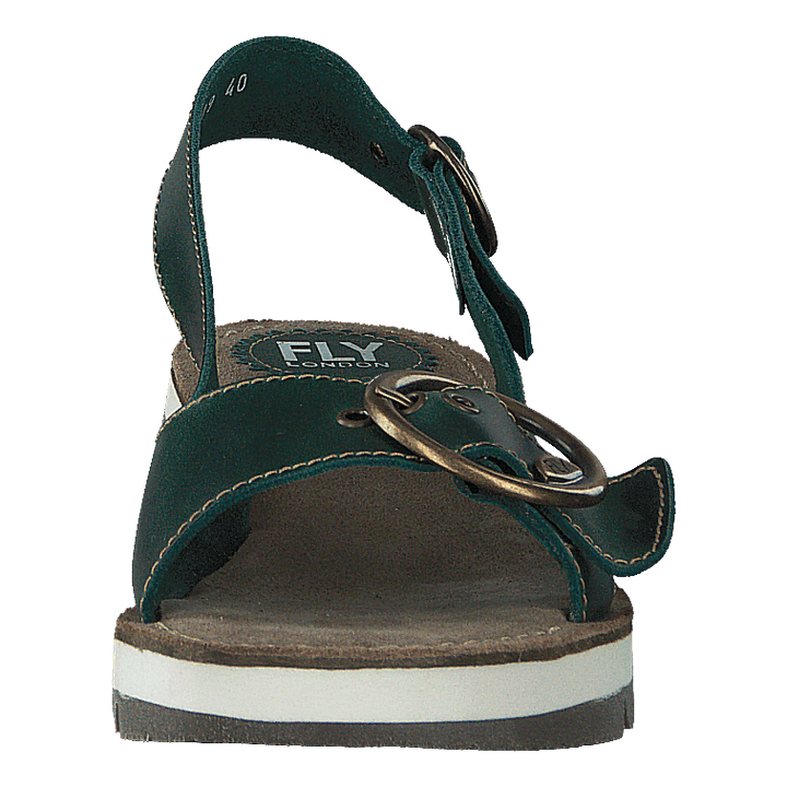 Tram 2 Bridle-petrol