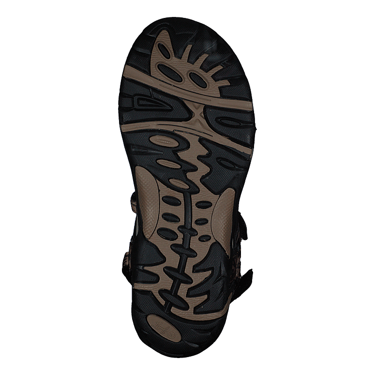 Esbo Leopard