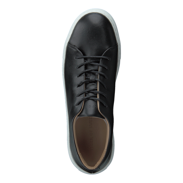 Sampe Black