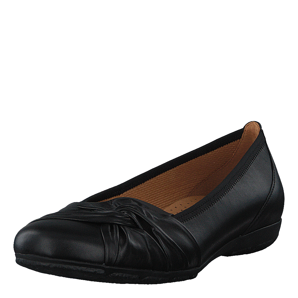 44.167.27 Black
