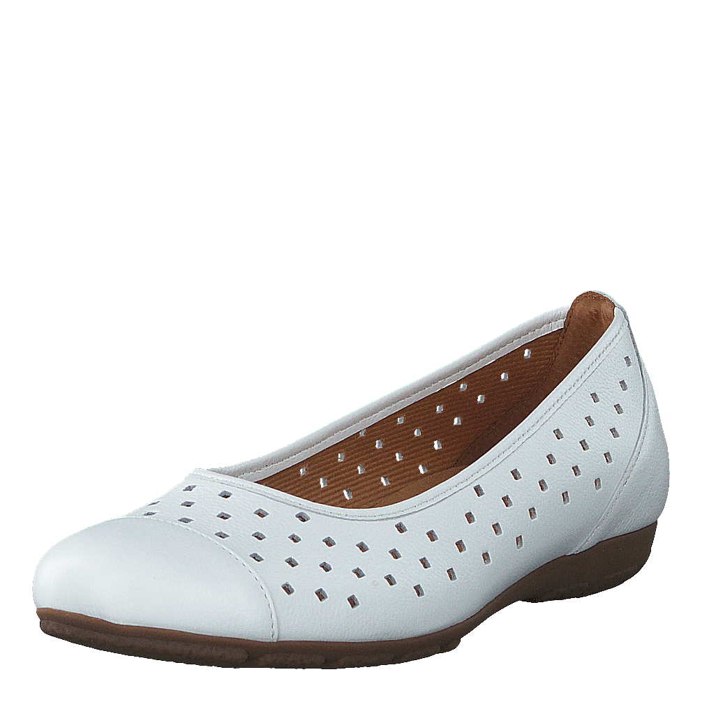 44.169.21 White