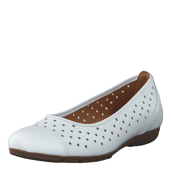 44.169.21 White