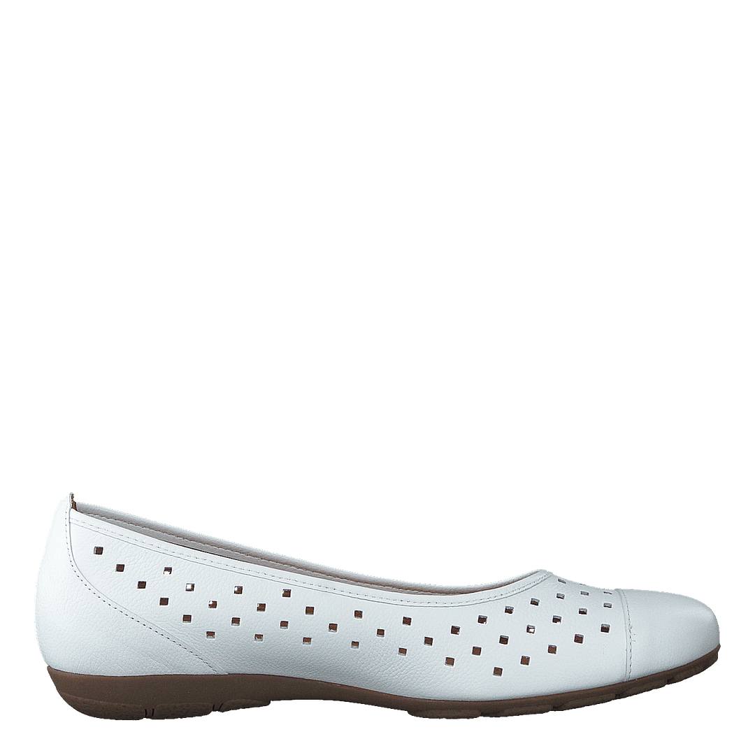 44.169.21 White