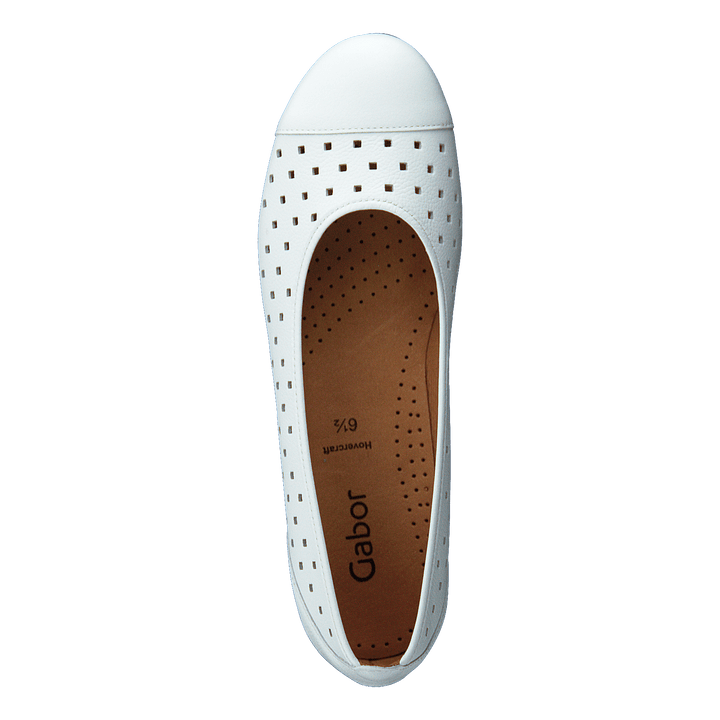 44.169.21 White